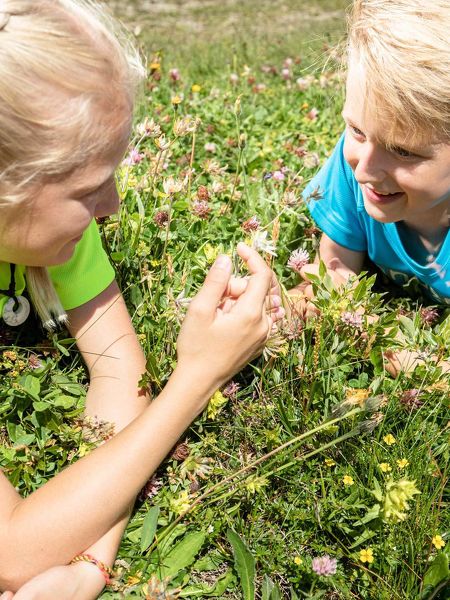 Tvb tux finkenberg Sommer adler Inn