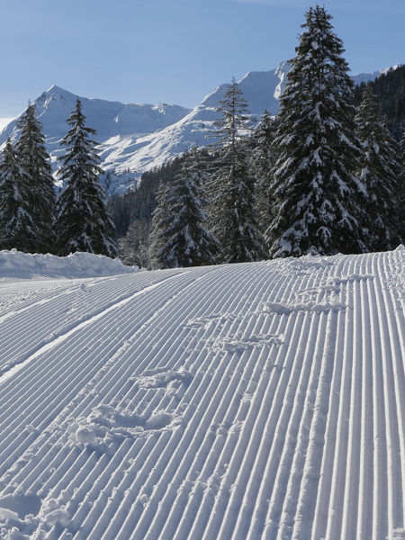 Winterwelt in Hintertux Adler Inn