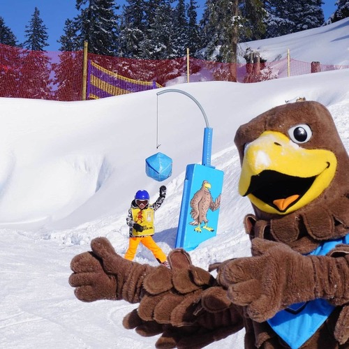 albert adler tour mayrhofen adler inn