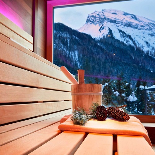 Panorama Sauna im Adler Inn