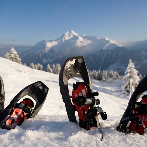 Adler Inn Schneeschuwandern