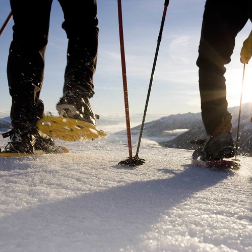 Adler Inn Schneeschuwandern