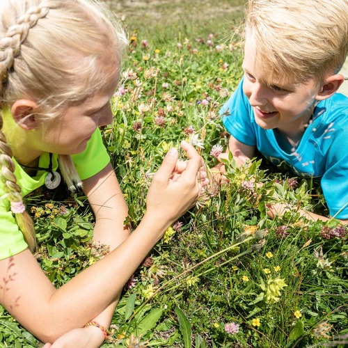 Tvb tux finkenberg Sommer adler Inn