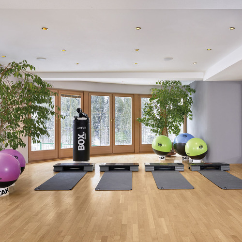 Fitnesscenter im Adler Inn