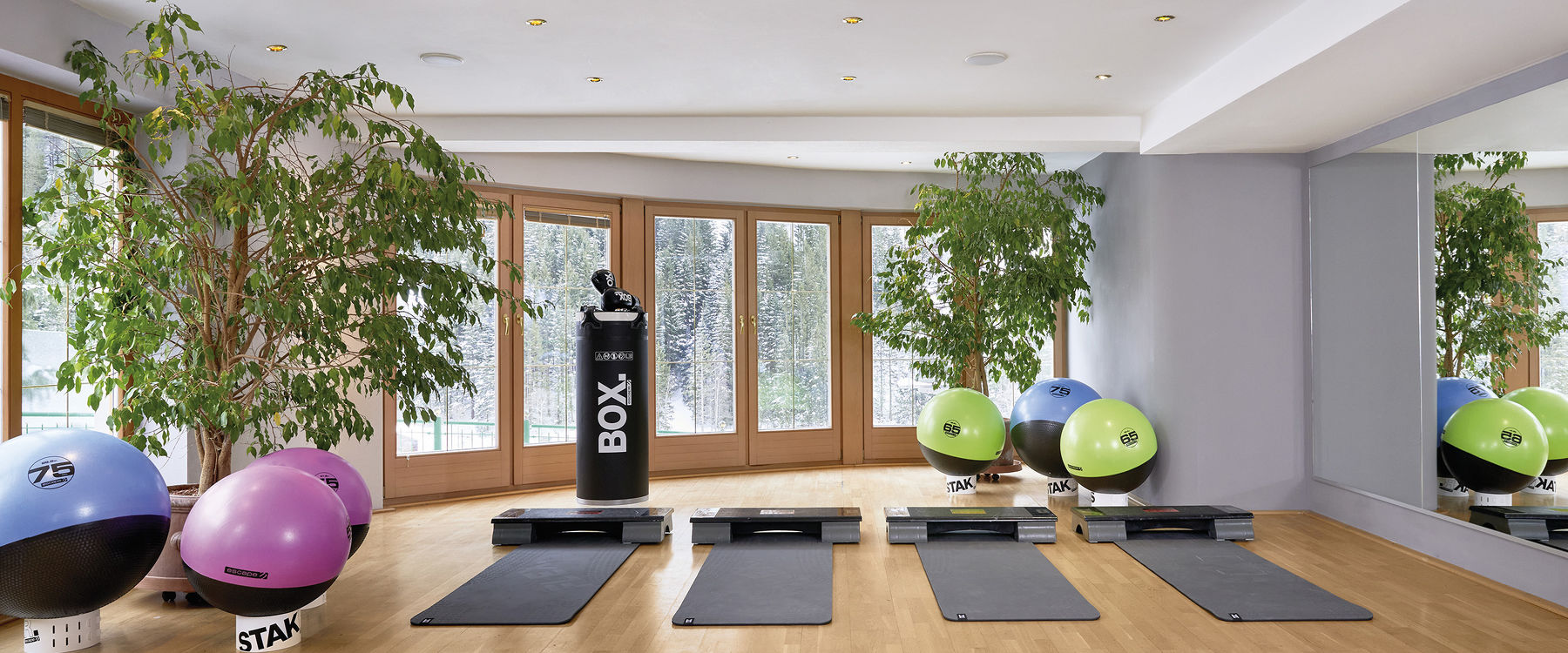 Fitnesscenter im Adler Inn